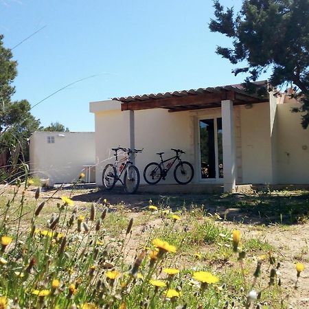 La Casita Yolanda, Ideal Parejas - Formentera Natural Sant Ferran de Ses Roques Exterior foto